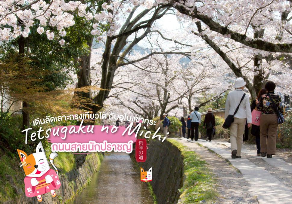ทางเดินนักปราชญ์ Tetsugaku no michi เดินลัดเลาะกรุงเกียวโต กับอุโมงซากุระ