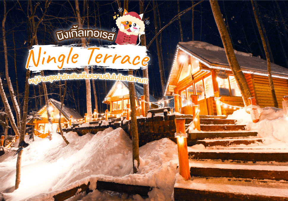 นิงเกิ้ลเทอเรส Ningle Terrace 