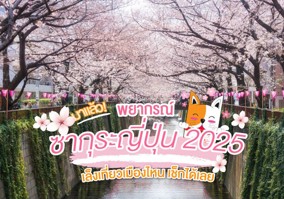 มาแล้ว!  พยากรณ์ซากุระญี่ปุ่น 2025 เล็งเที่ยวเมืองไหน เช็กได้เลย 