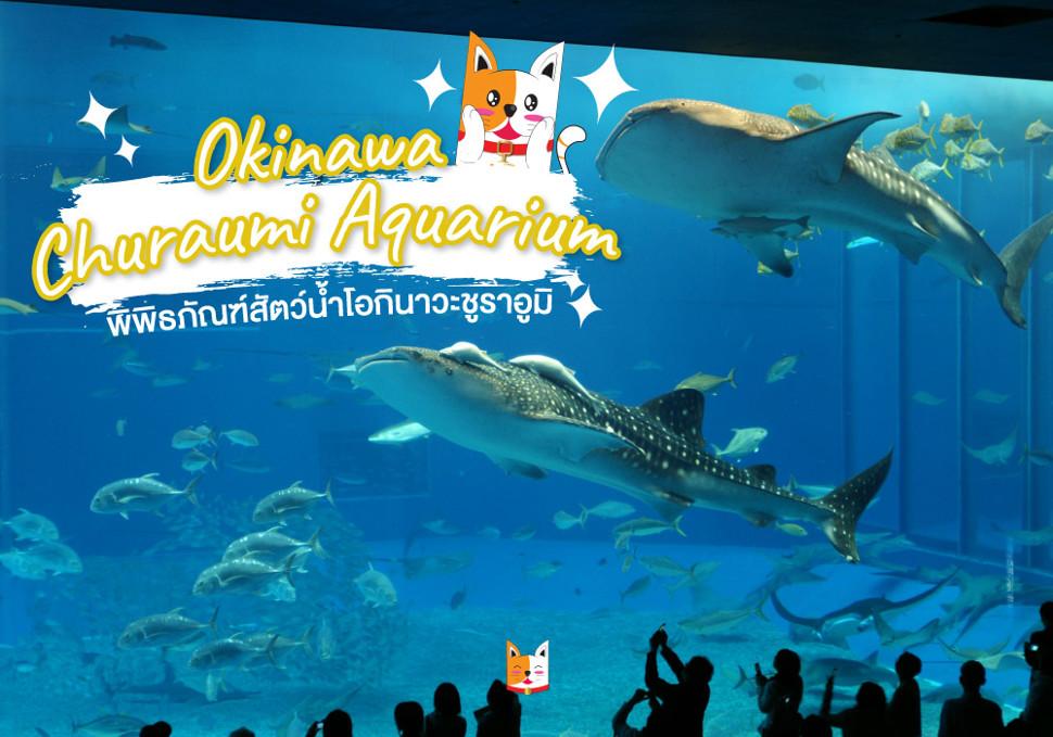 พิพิธภัณฑ์สัตว์น้ำโอกินาวะชูราอูมิ (Okinawa Churaumi Aquarium)