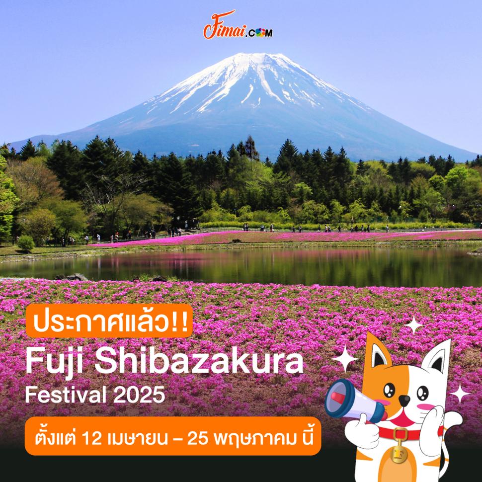 Fuji Shibazakura Festival 2025