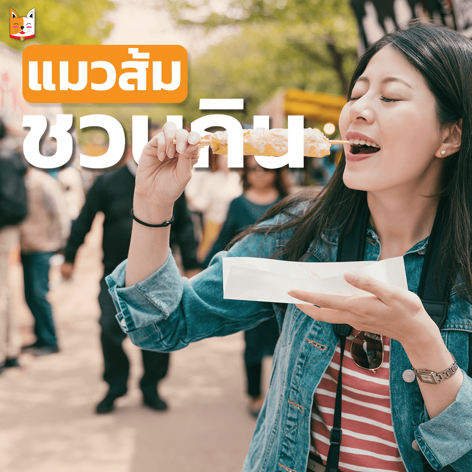 ฟิใหม่ชวนกิน
