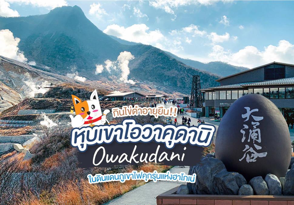 หุบเขาโอวาคุดานิ Owakudani 