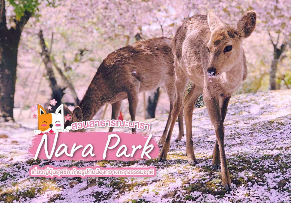 สวนสาธารณะนารา Nara Park 