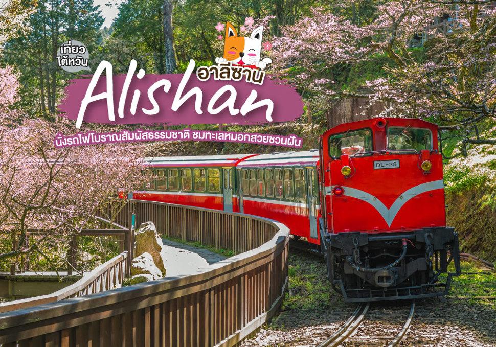 เที่ยวไต้หวัน อาลีซาน Alishan 