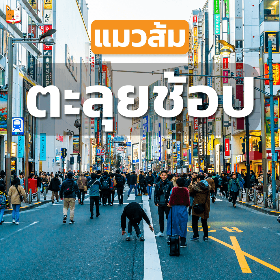 รูปบทความช้อปปิ้ง