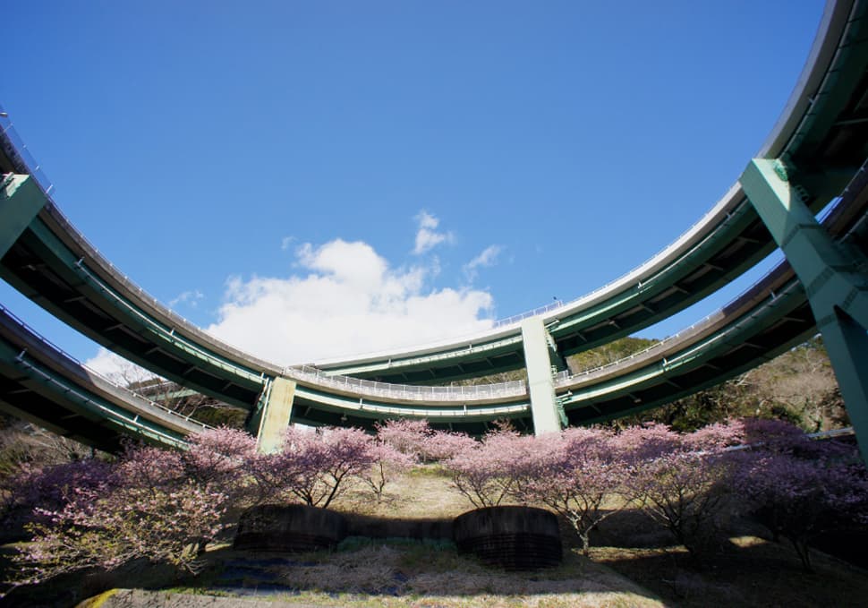 เมืองคาวาซึ