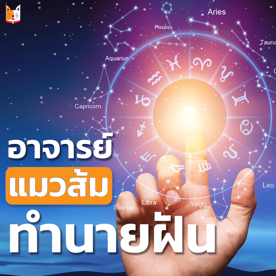 แมวส้มทำนายฝัน