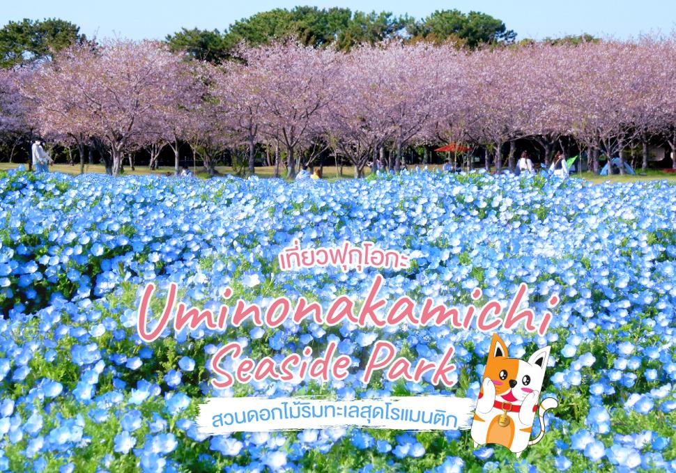 Uminonakamichi Seaside Park 