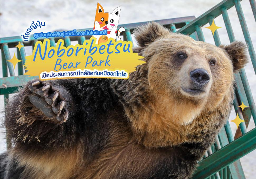 ศูนย์อนุรักษ์พันธุ์หมีสีน้ำตาล โนโบริเบทสึ Noboribetsu Bear Park เปิดประสบการณ์ใกล้ชิดกับหมีฮอกไกโด