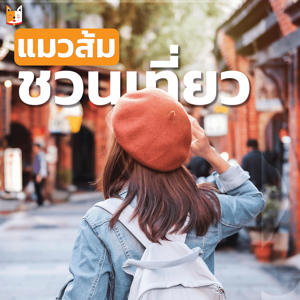 ฟิใหม่ชวนเที่ยว