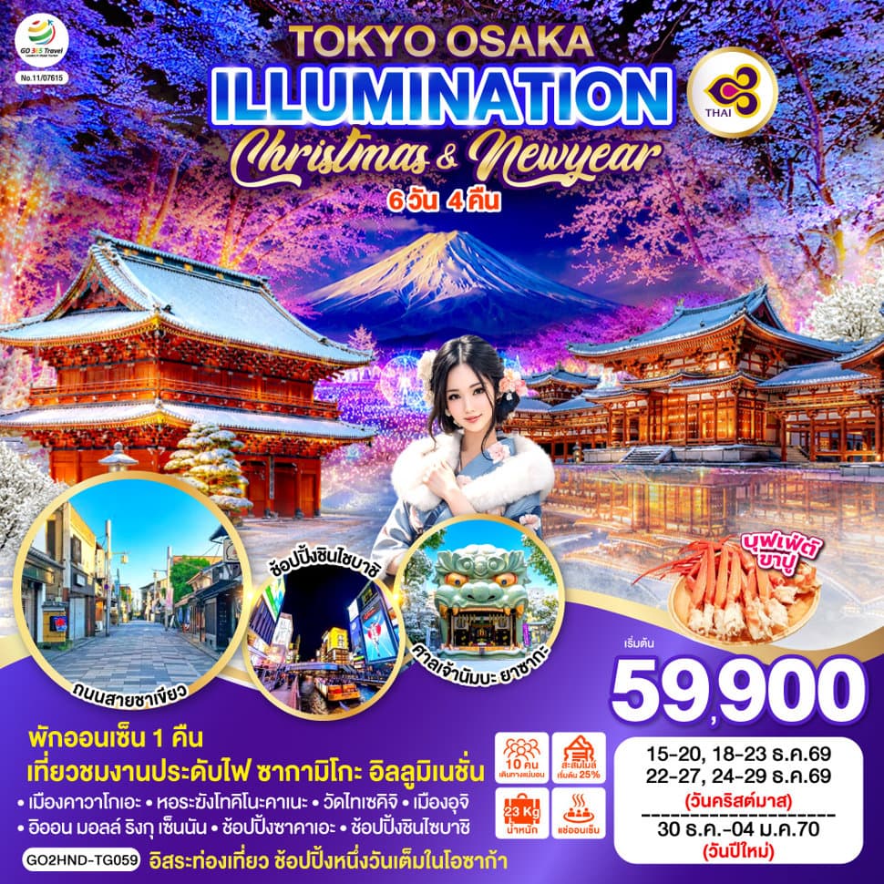 TOKYO OSAKA ILLUMINATION CHRISTMAS & NEW YEAR 6D 4N โดยสายการบินไทย [TG] - ทัวร์ 6 วัน 4 คืน