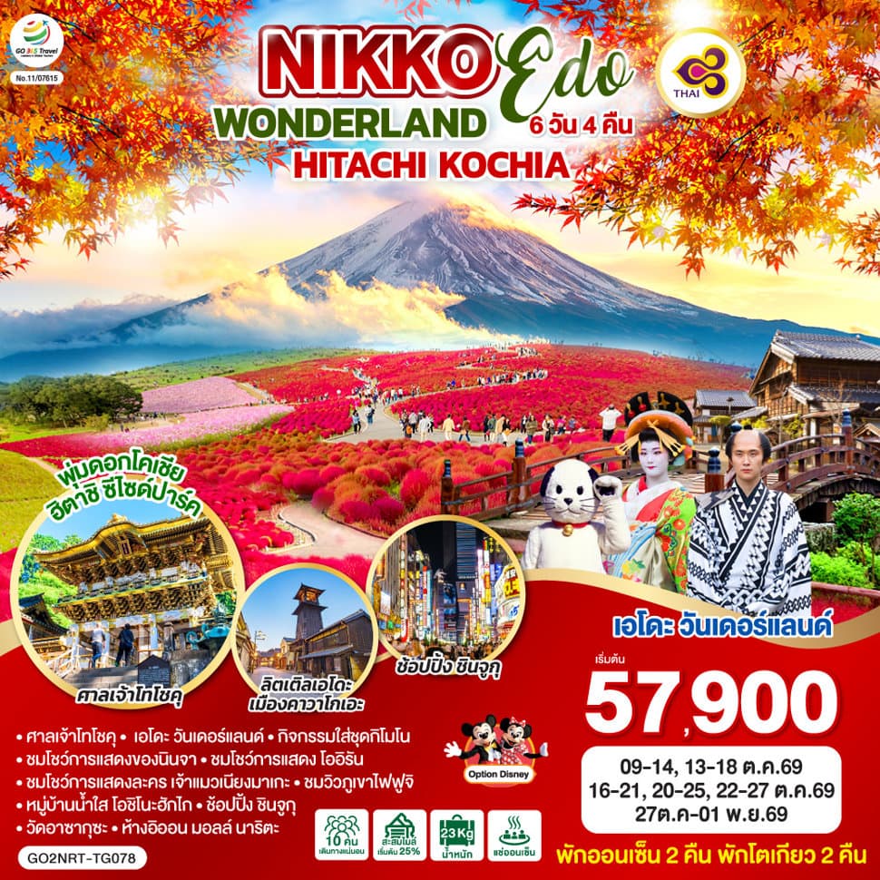 NIKKO EDO WONDERLAND HITACHIKOCHIA  6D 4N โดยสายการบินไทย [TG] - ทัวร์ 6 วัน 4 คืน