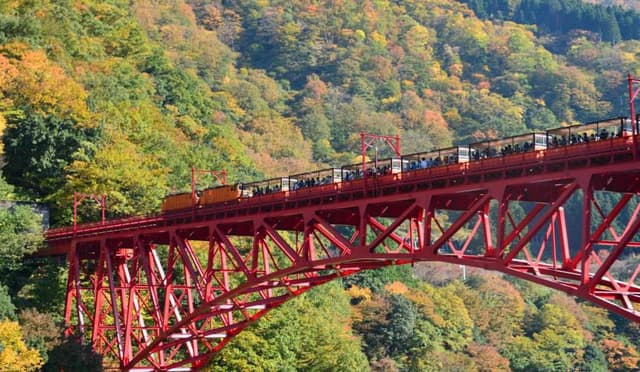 ทัวร์ เมืองโทยาม่า Toyama