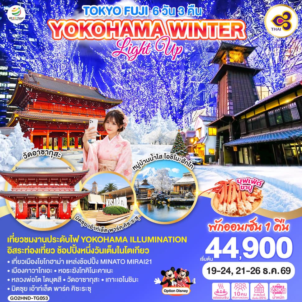TOKYO FUJI YOKOHAMA WINTER LIGHT UP  6D 3N โดยสายการบินไทย [TG] - ทัวร์ 6 วัน 3 คืน