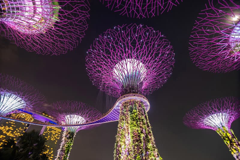 ชมโชว์ RHAPSODY LIGHT SHOW