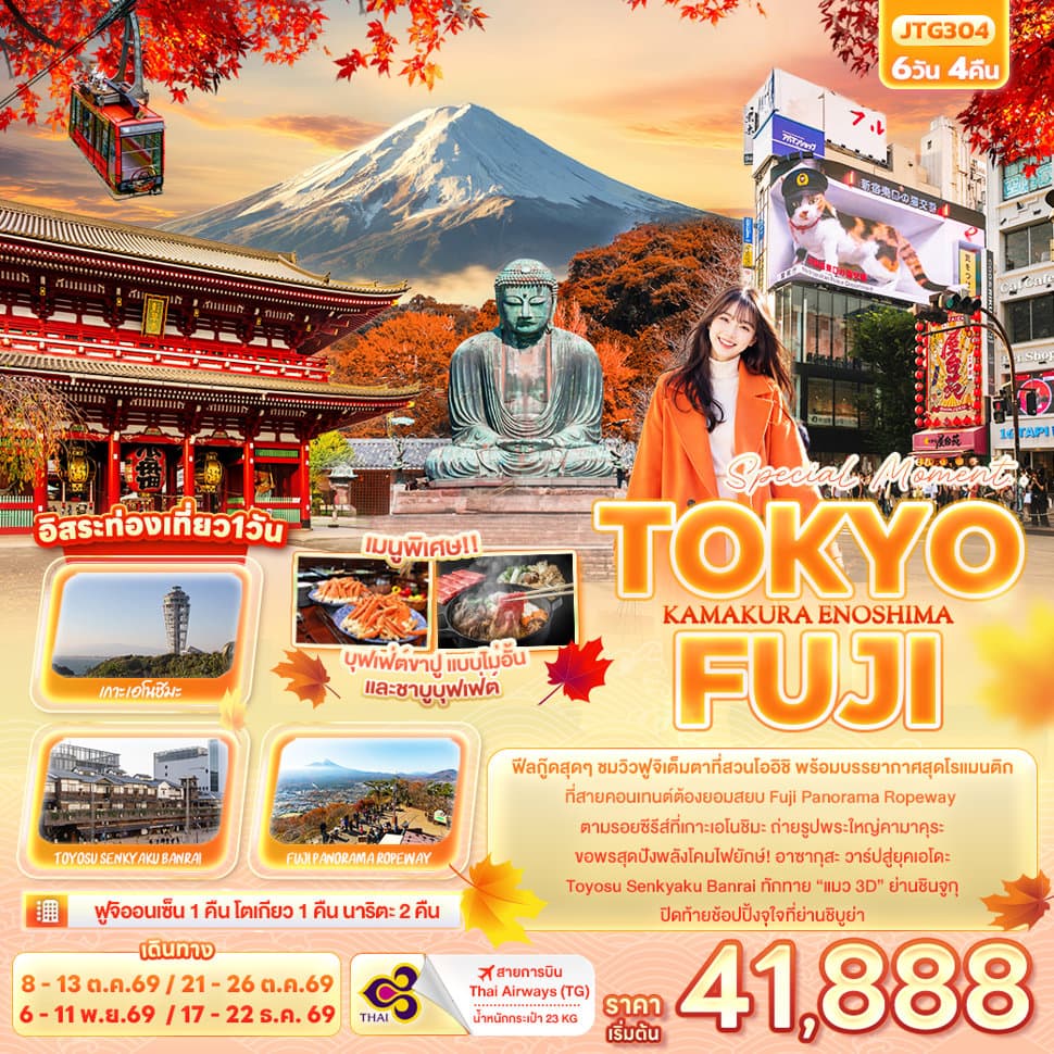 Special Moment..TOKYO FUJI KAMAKURA ENOSHIMA - ทัวร์ 6 วัน 4 คืน